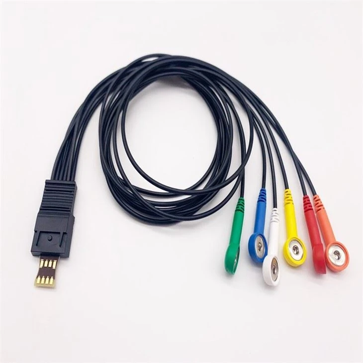Schiller Ecg Holter Cable 4/6 Lead MT-101